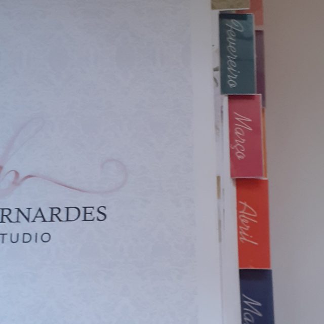 Agenda-Luxo-02--Denise-Lage-Designer